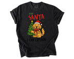 Dear Santa I Can Explain Dog Christmas Shirt – Funny Pet Holiday Tee, Cute Puppy Santa T-Shirt Gift