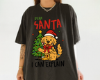 Dear Santa I Can Explain Dog Christmas Shirt – Funny Pet Holiday Tee, Cute Puppy Santa T-Shirt Gift