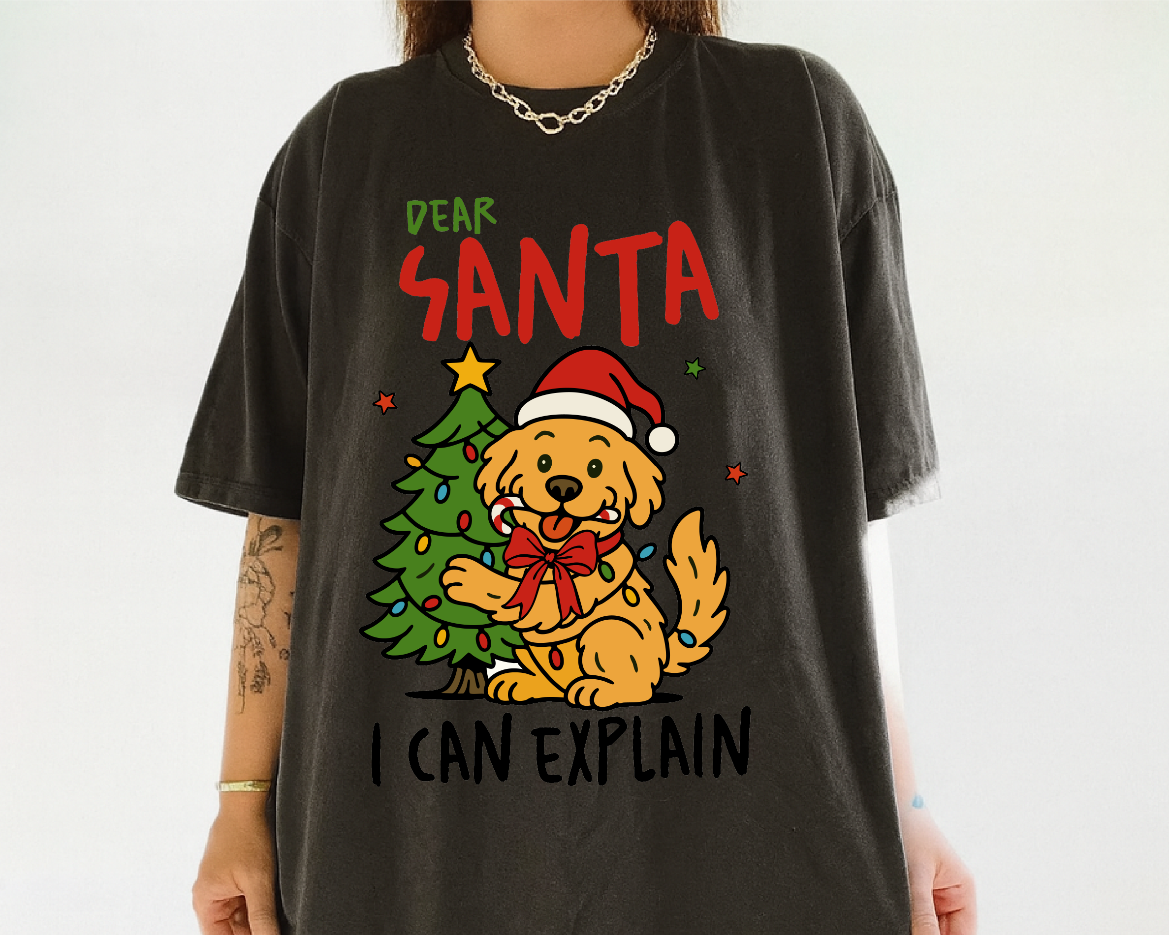 Dear Santa I Can Explain Dog Christmas Shirt – Funny Pet Holiday Tee, Cute Puppy Santa T-Shirt Gift